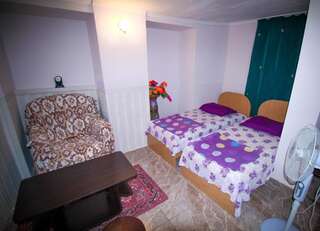 Гостевой дом Guest House Natia Тбилиси Стандартный двухместный номер с 1 кроватью-8